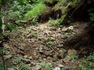 Kožlí
