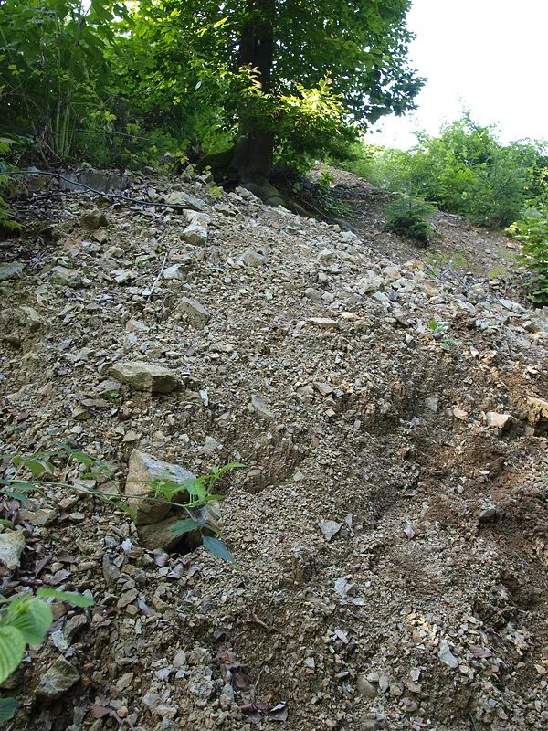 Mineral locality Kožlí, Czech Republic