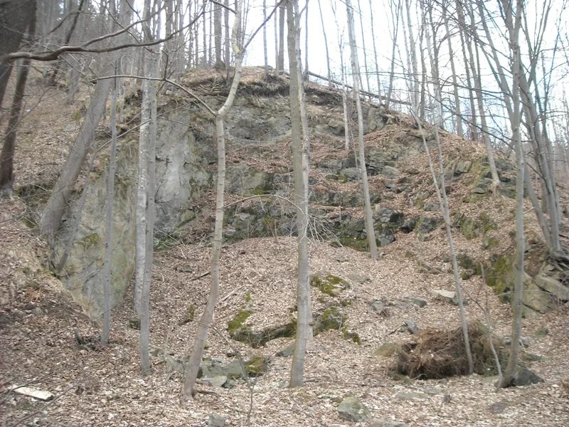 Mineral locality Kožušná, Sobotín, Czech Republic