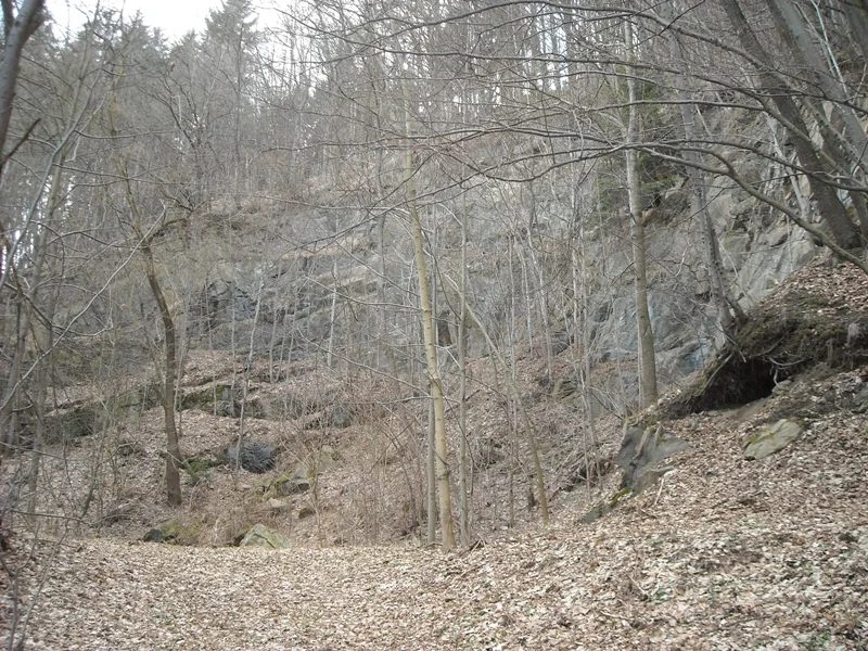 Mineral locality Kožušná, Sobotín, Czech Republic