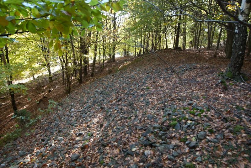 Mineral locality Lobzy, Slavkovský les, Czech Republic