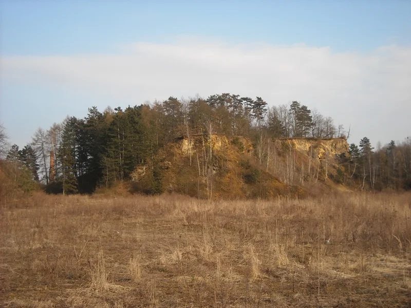 Mineral locality Lom Prefa, Grygov, Czech Republic