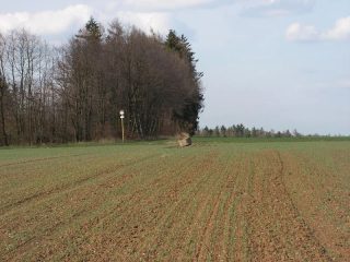 Mohelno