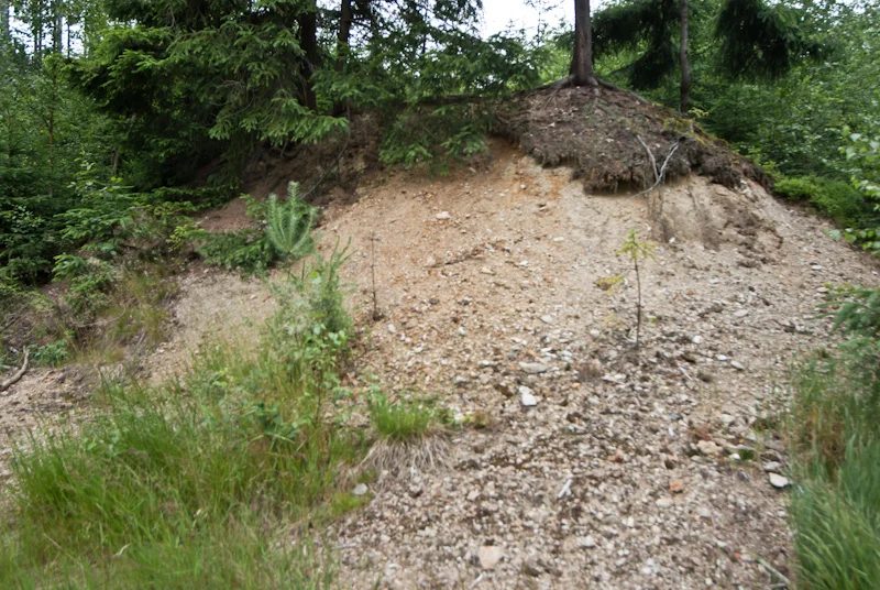 Mineral locality Oloví, štola Barbora, Czech Republic
