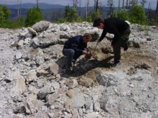 Orešnaja 1