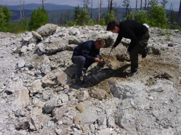 Mineral locality Orešnaja 1, Russia