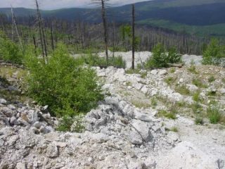 Orešnaja 1