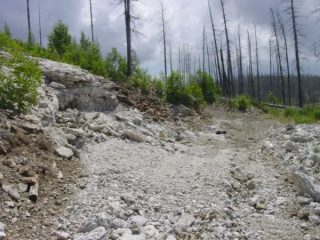 Orešnaja 1