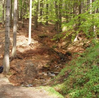 Ostružná