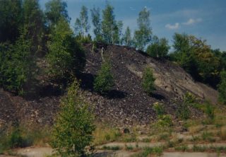 Otvovice