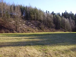 Petrovice