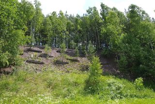 Petrovice
