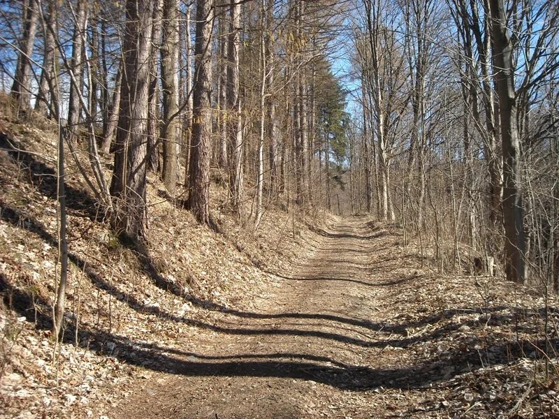 Mineral locality Pfarrerb, Sobotín, Czech Republic