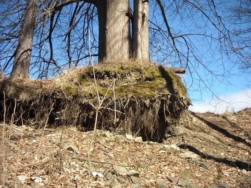 Mineral locality Pfarrerb, Sobotín, Czech Republic
