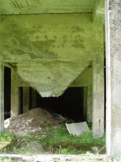 Přebuz