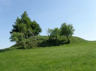 Přísečnice