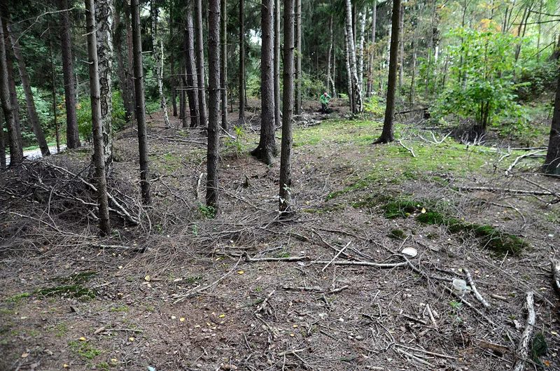 Mineral locality Rančířov, Czech Republic