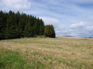 Řečice