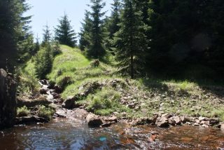 Rýžovna, Krušné hory, štola Michaeli