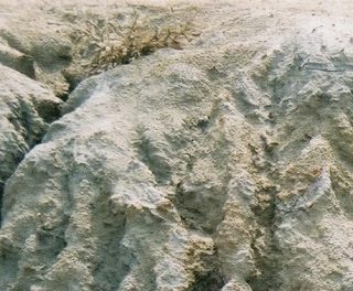 Sheeve Ovoo