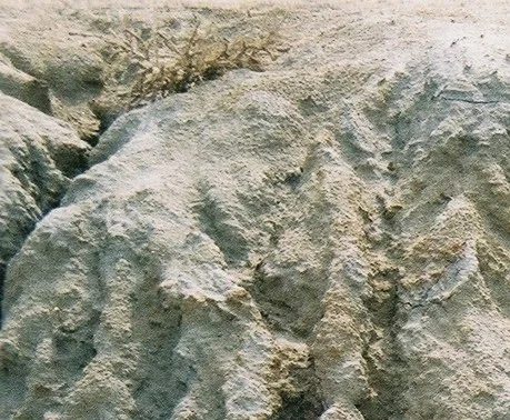 Mineral locality Sheeve Ovoo, Mongolia