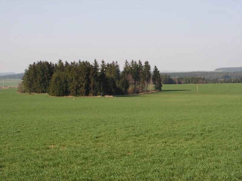 Mineral locality Suky, Czech Republic