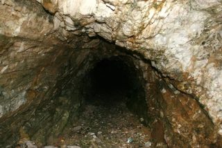 Trhonice
