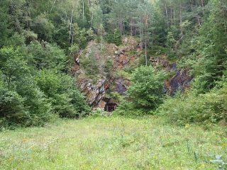 Trhonice