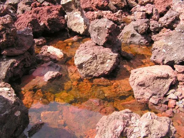 Mineral locality Tsagan Nur, Mongolia