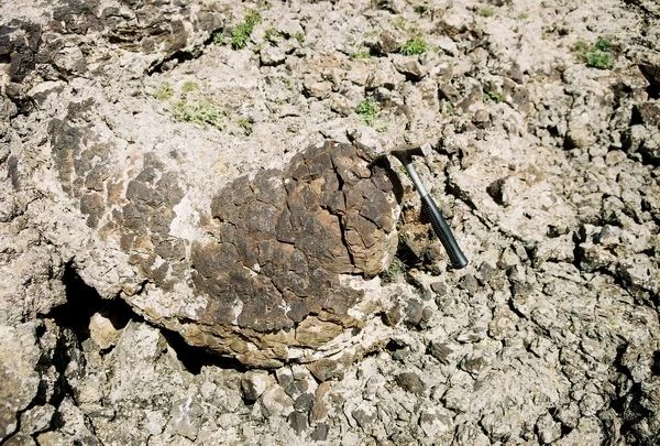 Mineral locality Tsagan Nur, Mongolia