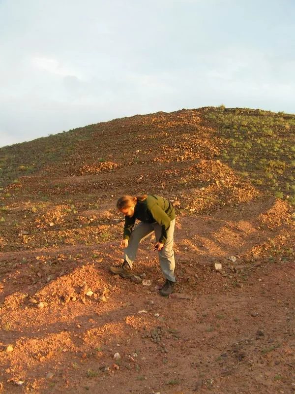 Mineral locality Ulugei Chid, Mongolia