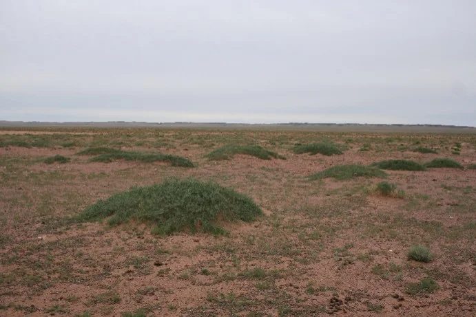 Mineral locality Ulugei Chid, Mongolia