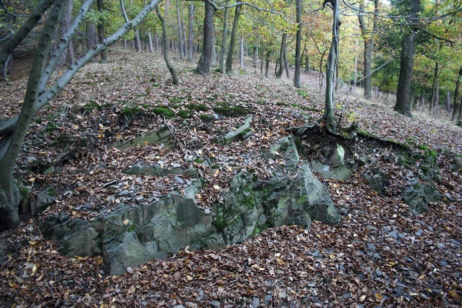 Mineral locality Vinice, Jince, Czech Republic
