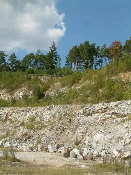 Mineral locality Vyšný, Czech Republic