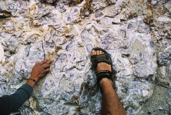 Mineral locality Winterlai, Mongolia