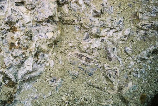 Mineral locality Winterlai, Mongolia