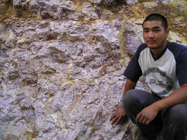 Mineral locality Winterlai, Mongolia