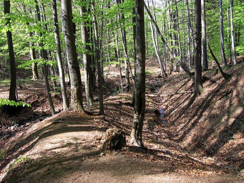 Mineral locality Zlatá Baňa, Slovakia