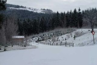 Zlaté Hory