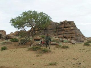 Zonsulan