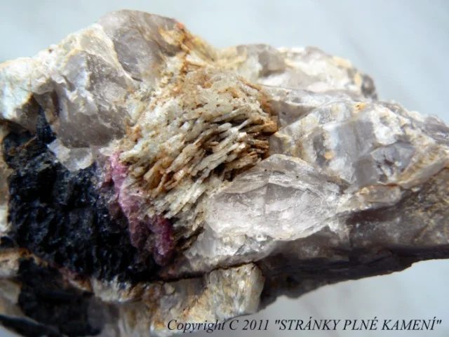 Albite (var. cleavelandite), Elbaite (var. rubellite), Quartz (var. smoky), Schorl