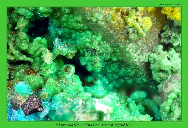 Mineral photo of Chrysocolla from locality Cínovec, Czech Republic