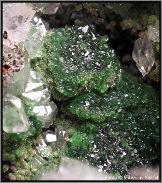 Mineral photo of Conichalcite from locality Ojuela Mine, Mexico