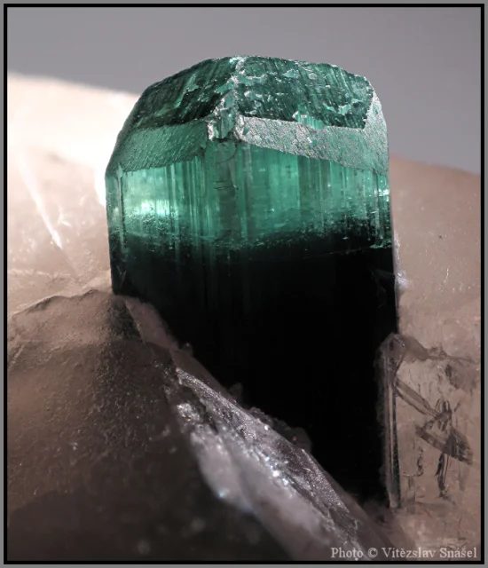 Mineral photo of Elbaite (var. verdelite) from locality Shengus, Haramosh Mts., Skardu District, Gilgit-Baltistan, Pakistan