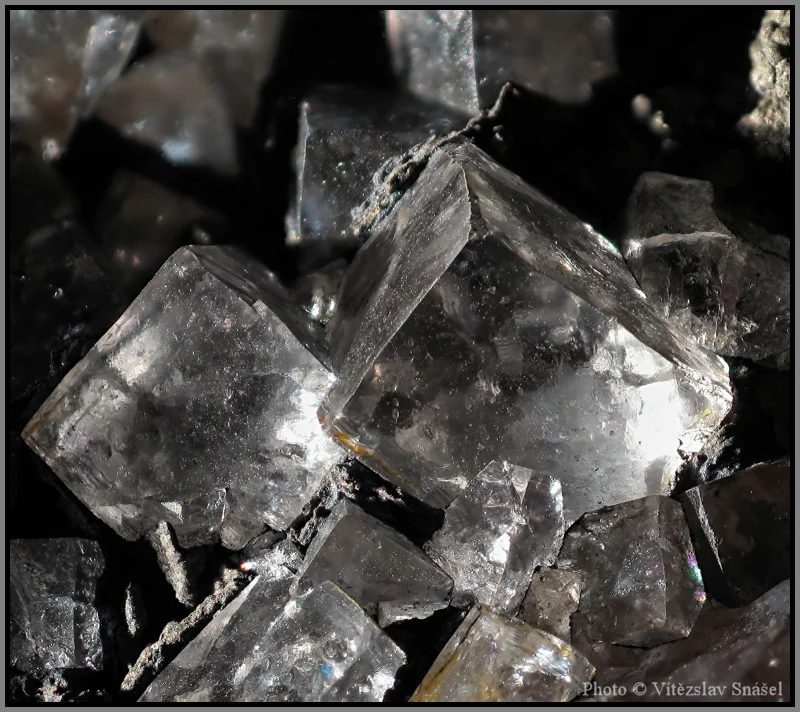 Mineral photo of Fluorite from locality Budjgar, Mongolia