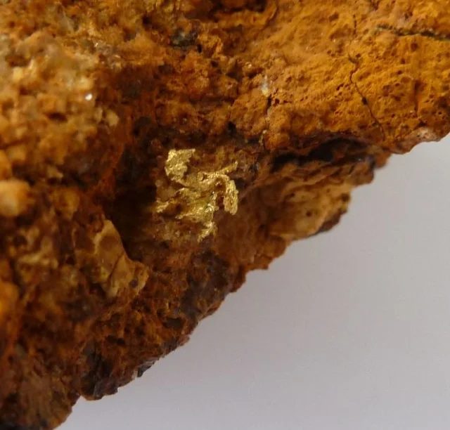 Mineral photo of Gold from locality Zlaté Hory, Czech Republic