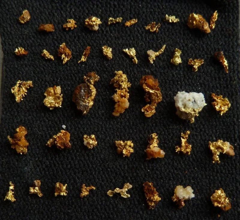 Mineral photo of Gold from locality Zlaté Hory, Czech Republic