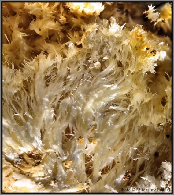 Halotrichite