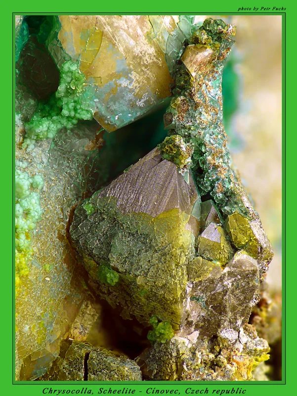 Mineral photo of Chrysocolla, Scheelite from locality Cínovec, Czech Republic