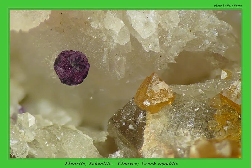 Mineral photo of Fluorite, Scheelite from locality Cínovec, Czech Republic